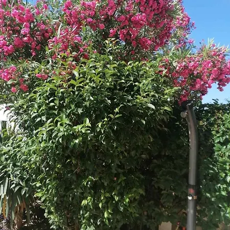 By The Sea - 1115 * Rogoznica (Sibenik-Knin)