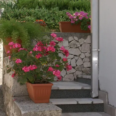 By The Sea - 1115 * 罗戈兹尼察