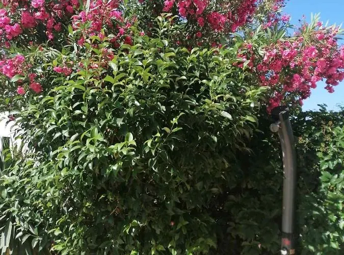 By The Sea - 1115 * Rogoznica (Sibenik-Knin)